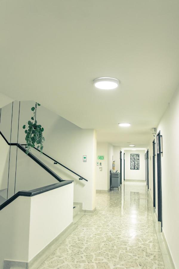 Mandala Centro